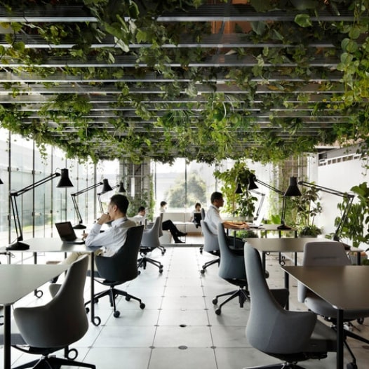 Biophilic Design Elements