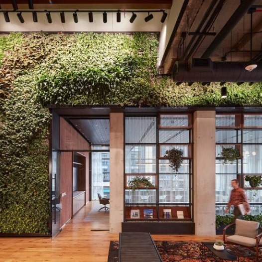 Biophilic Design Elements