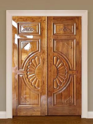 Double Panel Door Designs